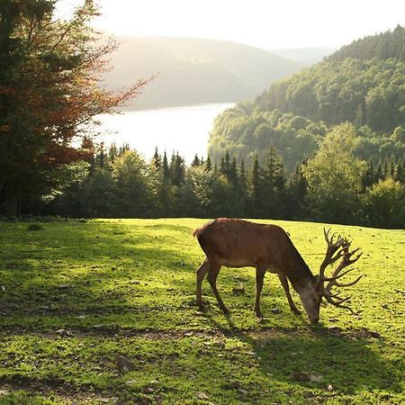 Moderne Ferienwohnung Im Herzen Des Nationalparks Hellenthal Kültér fotó
